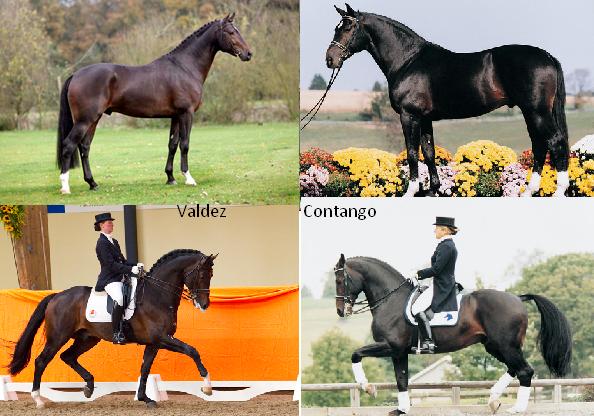 Vader en moeders vader